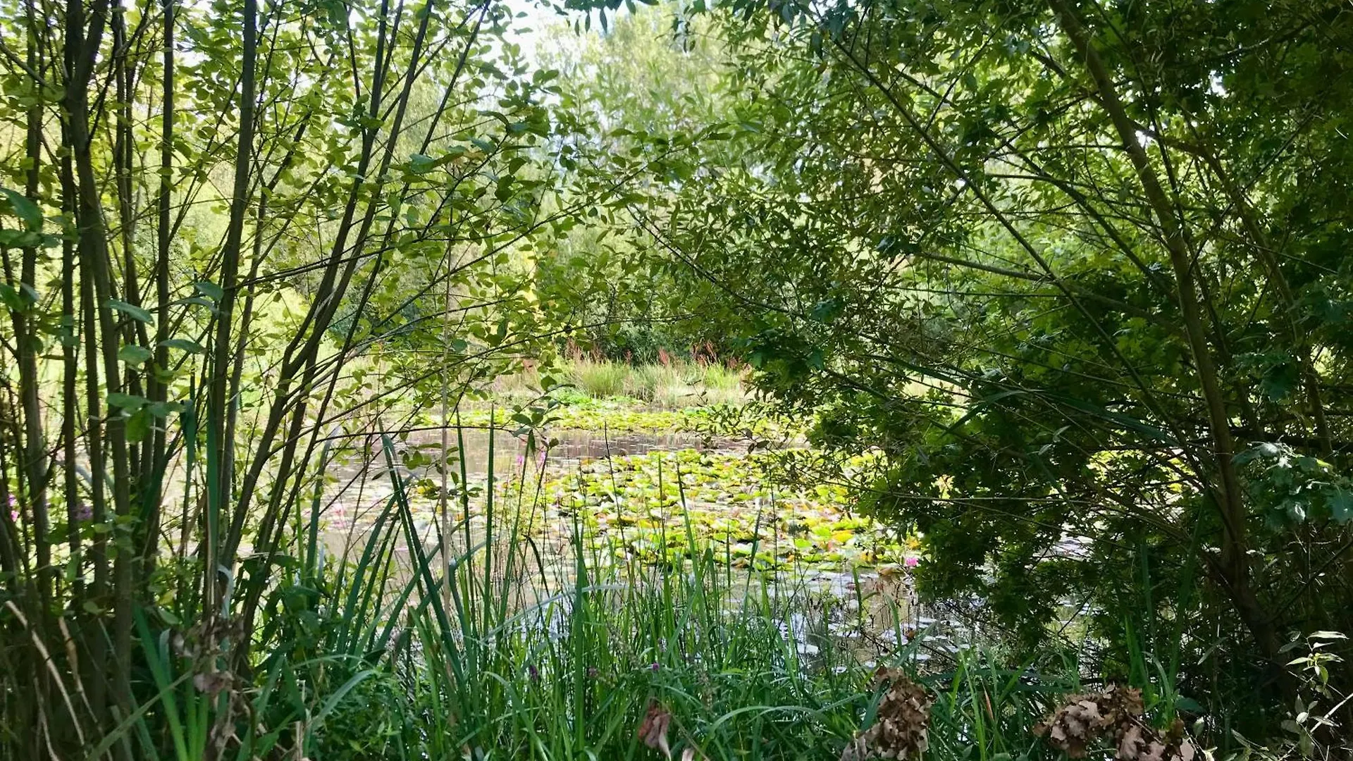 Eikenburg B&B Эйндховен Нидерланды